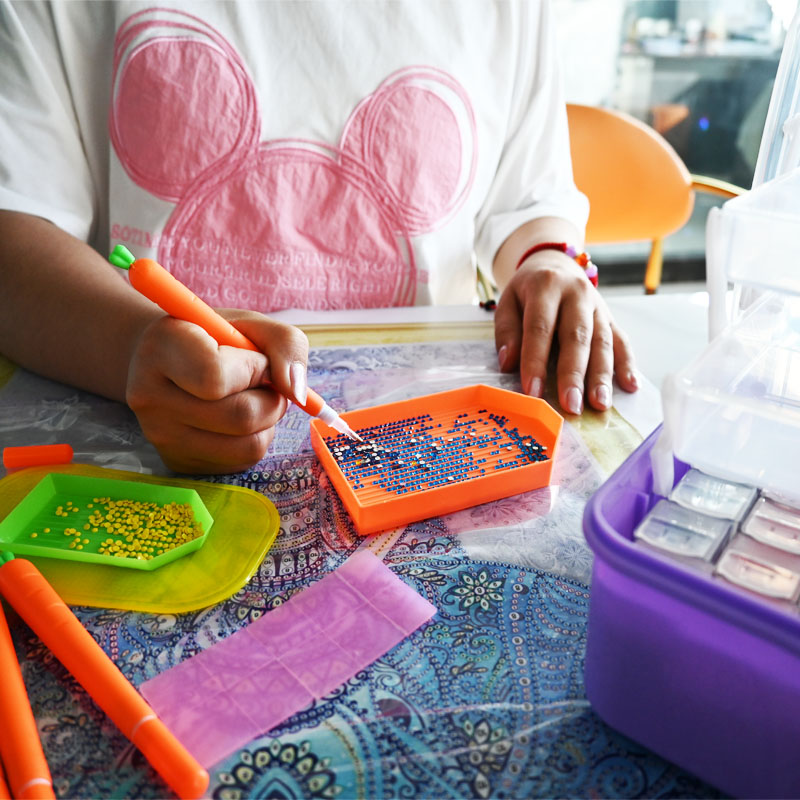 Diamond Embroidery Tools Carro - Embroidery Bag review and price