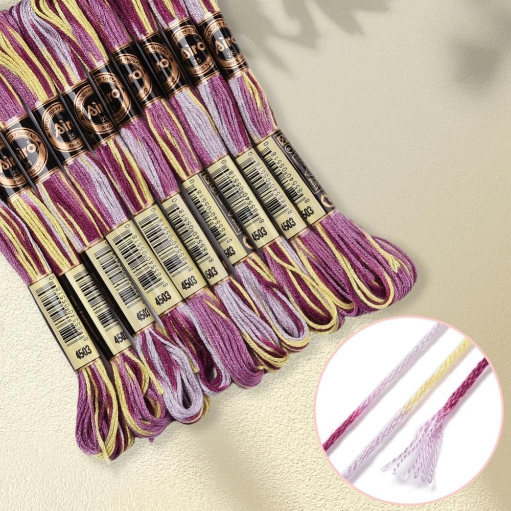 6 Strands Purple Variegated Em - Embroidery Handicraft review and price